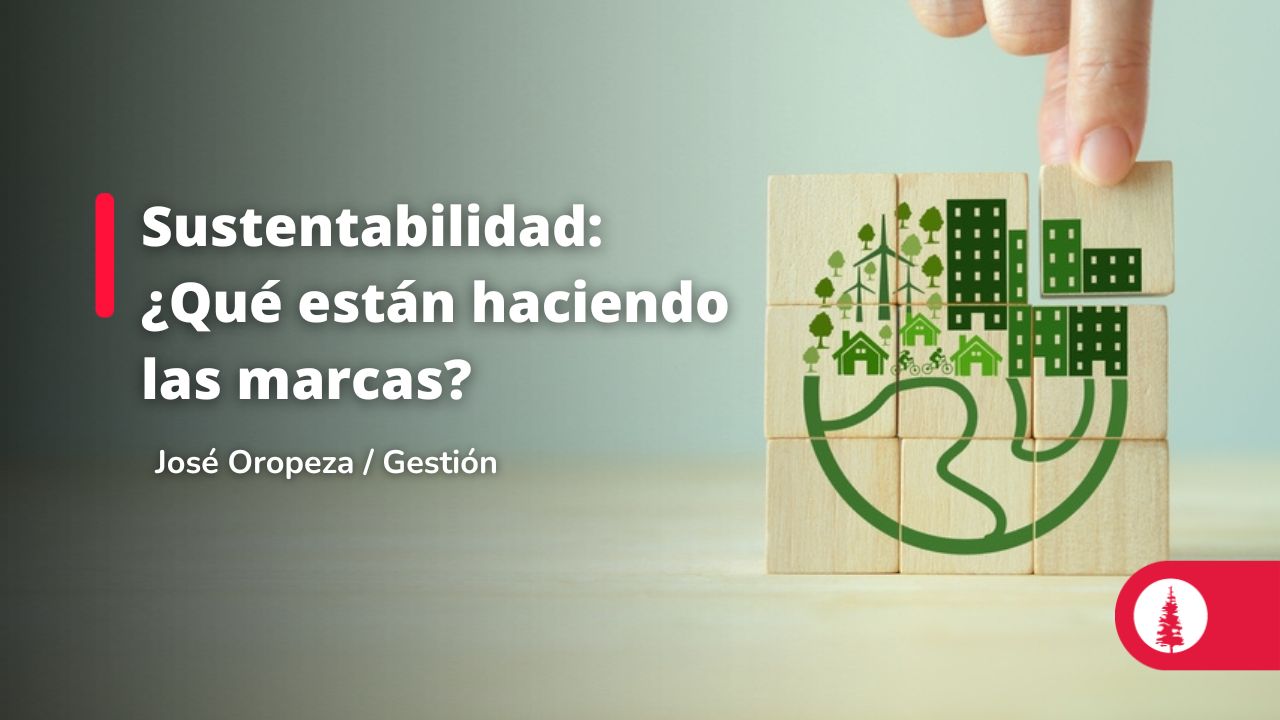 Sustentabilidad Qu Est N Haciendo Las Marcas Conexi N Esan