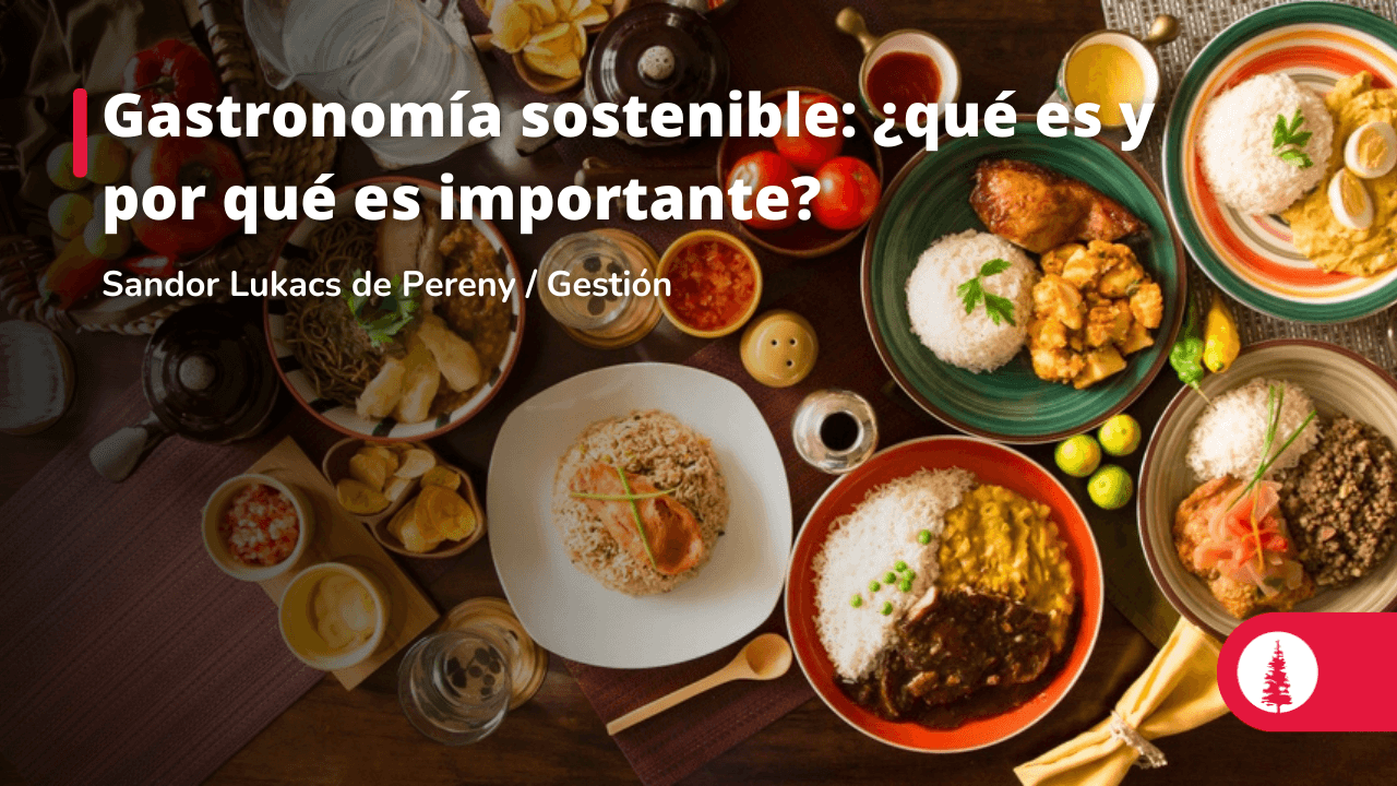 Gastronom A Sostenible Qu Es Y Por Qu Es Importante Conexi N Esan