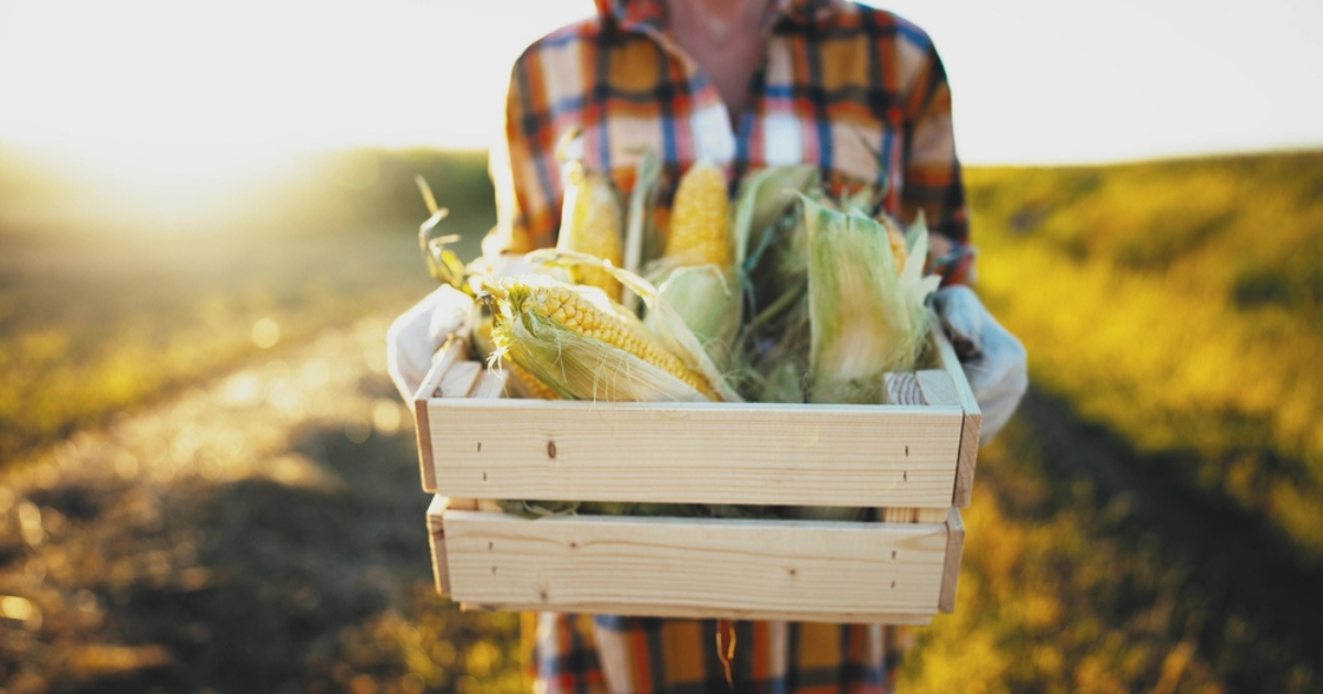 Branding y calidad Relación e impacto en el sector agroalimentario