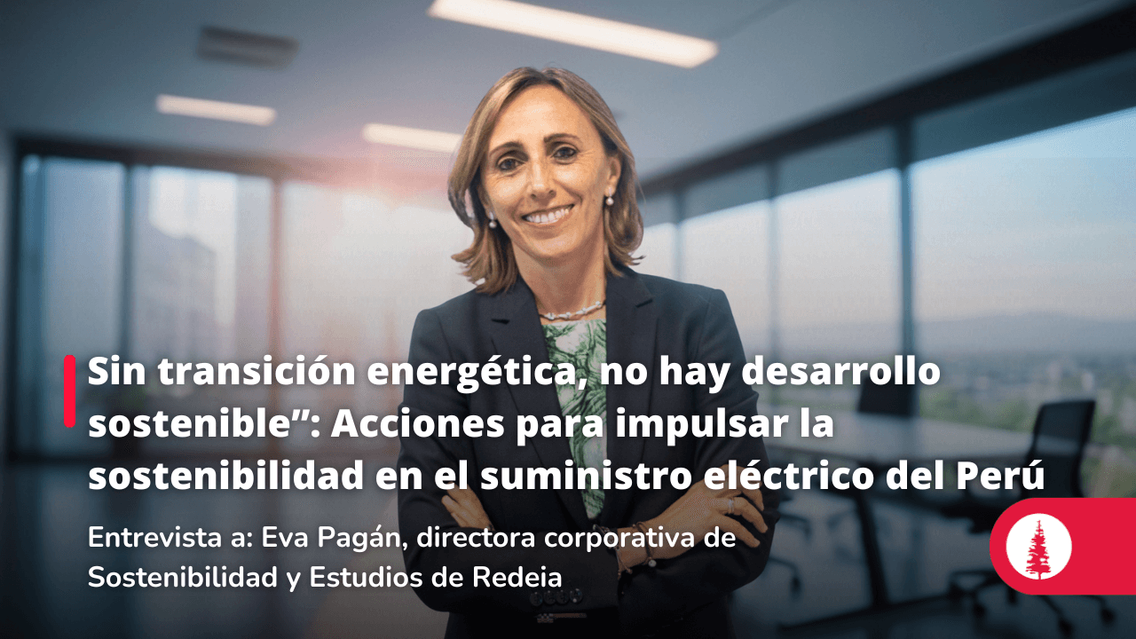 “sin Transición Energética No Hay Desarrollo Sostenible” Acciones Para Impulsar La 8984