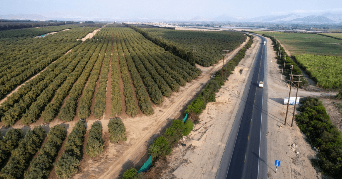 Panorama del sector agro en el Perú